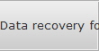 Data recovery for Lake Oswego data